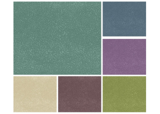 Велюр Elva (Элва)