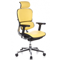 Кресло Ergohuman Plus Comfort Seating Leather Yellow 