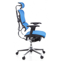 Кресло Ergohuman Plus Comfort Seating Mesh Blue