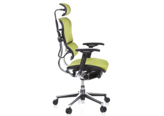 Кресло Ergohuman Plus Comfort Seating Mesh Green