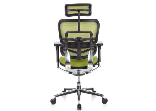 Кресло Ergohuman Plus Comfort Seating Mesh Green