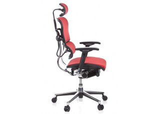 Кресло Ergohuman Plus Comfort Seating Mesh Red