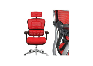 Кресло Ergohuman Plus Comfort Seating Mesh Red