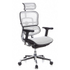 Компьютерное кресло Ergohuman Plus Comfort Seating Mesh Light Gray