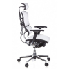 Компьютерное кресло Ergohuman Plus Comfort Seating Mesh Light Gray