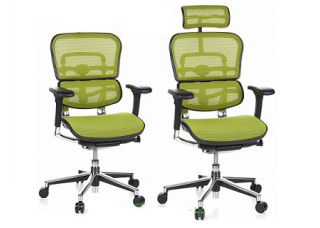 Кресло Ergohuman Plus Comfort Seating Mesh Green