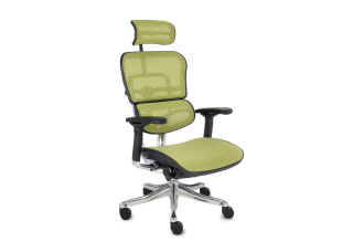 Кресло Ergohuman Plus Comfort Seating Mesh Green