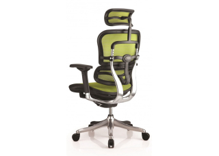 Кресло Ergohuman Plus Comfort Seating Mesh Green