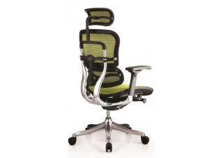 Кресло Ergohuman Plus Comfort Seating Mesh Green