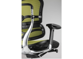 Кресло Ergohuman Plus Comfort Seating Mesh Green