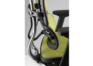 Кресло Ergohuman Plus Comfort Seating Mesh Green