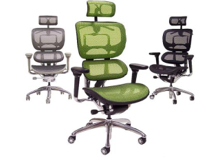 Кресло Ergohuman Plus Comfort Seating Mesh Green