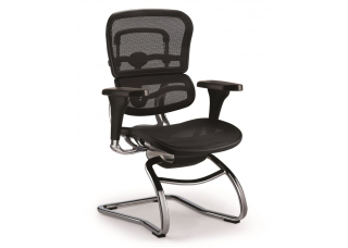 Кресло посетителя Ergohuman Standart Comfort Seating 