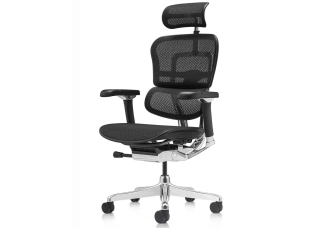 Кресло ERGOHUMAN LUXURY 2 (EHL2-AB-HAM-5D-L, сетка Т-168-B1 Black)