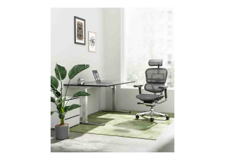 Кресло ERGOHUMAN LUXURY 2 (EHL2-AB-HAM-5D-L, сетка Т-168-B1 Black)