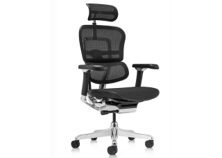 Кресло ERGOHUMAN LUXURY 2 (EHL2-AB-HAM-5D-L, сетка Т-168-B1 Black)